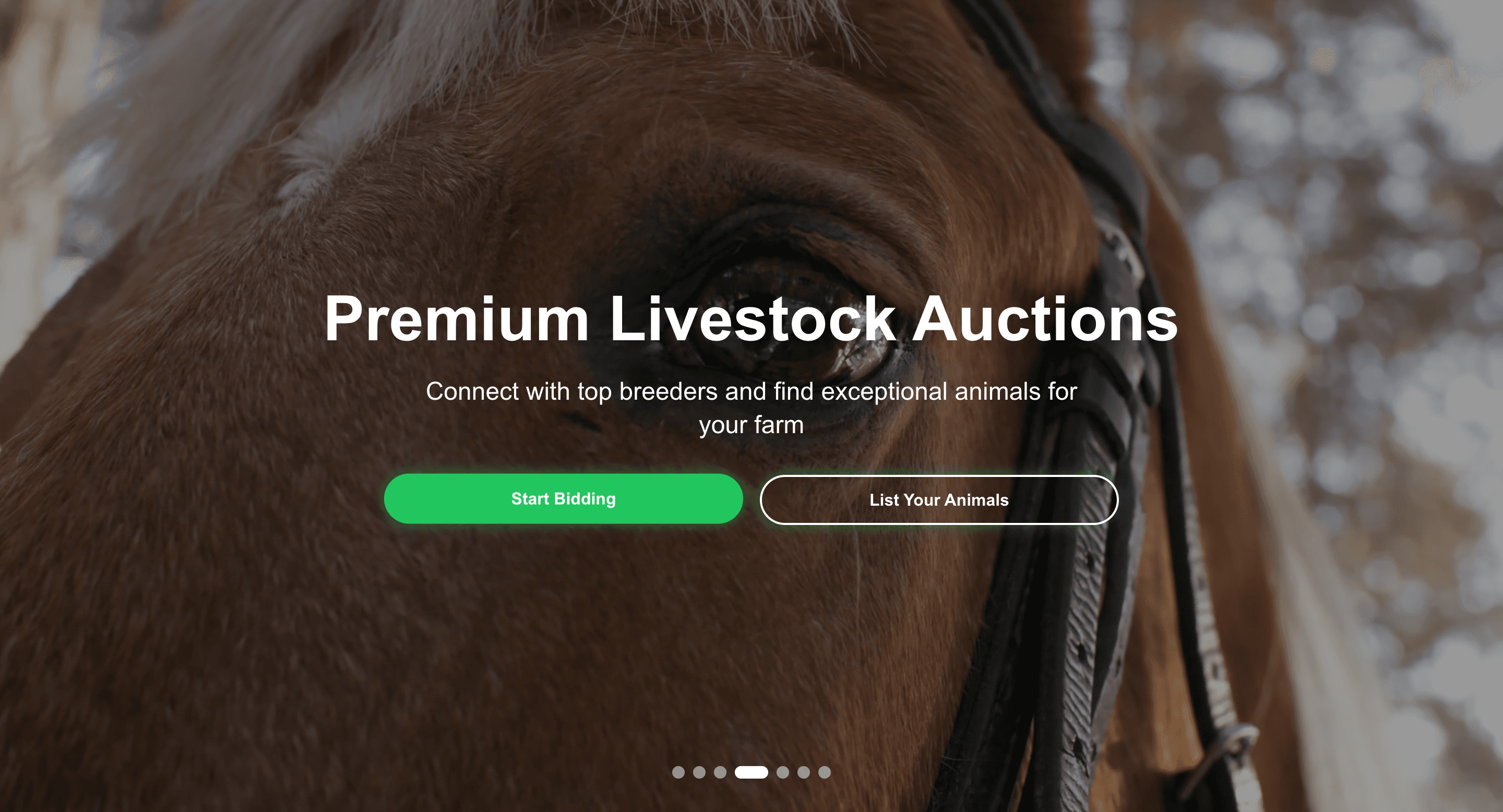 Livestock Auction Web App